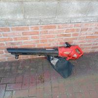 Soffiatore e aspiratore della Einhell 