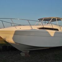 Sea Ray anni 90 nuovo