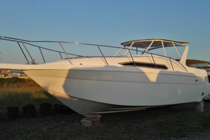 Sea Ray anni 90 nuovo
