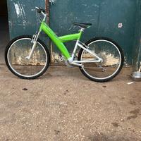 Bicicletta pirifarina