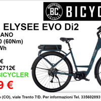 Ebike Brinke Elysee EVO Di2