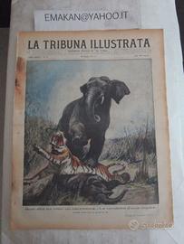 LA TRIBUNA ILLUSTRATA N 21- 22 - 28 - 30 1929