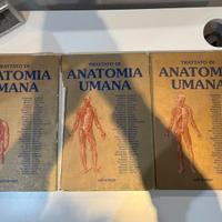 Anastasi Trattato Anatomia Umana