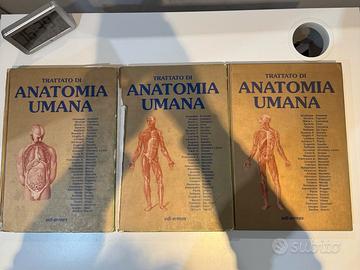 Anastasi Trattato Anatomia Umana