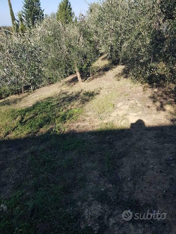 Terreno di 700 m² a Montespertoli - Vista 3