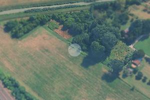 TER. AGRICOLO A MARTELLAGO