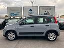 fiat-panda-1-0-firefly-s-s-hybrid-city-life