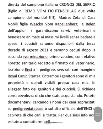 Pastore tedesco a pelo lungo