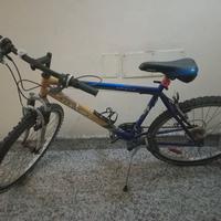 bicicletta 