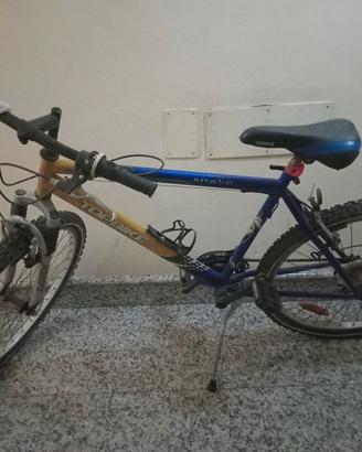 bicicletta 