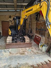 Estirpazione vigneti