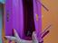Immagine 4