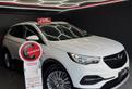 Opel Grandland X 1.5 diesel 131 CV Ultimate 31/11/