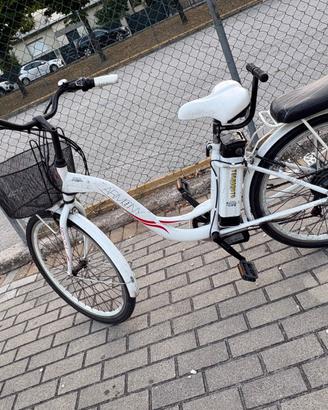Bicicletta elettrica