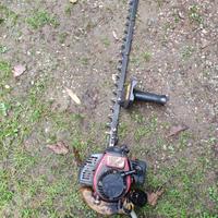 Tagliasiepe a motore