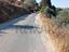 Immagine 14