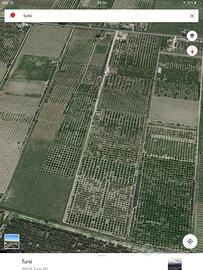Terreni Azienda Agricola