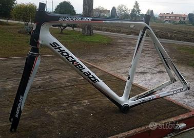 TELAIO IN CARBONIO – Bici