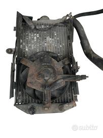 Radiatore acqua Suzuki Burgman 650