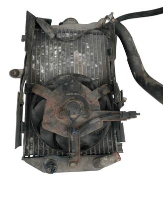 Radiatore acqua Suzuki Burgman 650