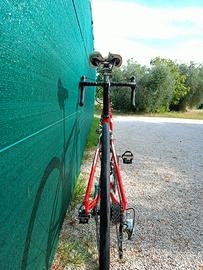 specialized alliez 