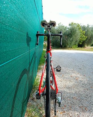 specialized alliez 