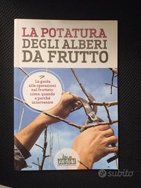 La potatura degli alberi da frutto 