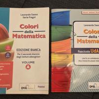 Colori della matematica 9788849423082