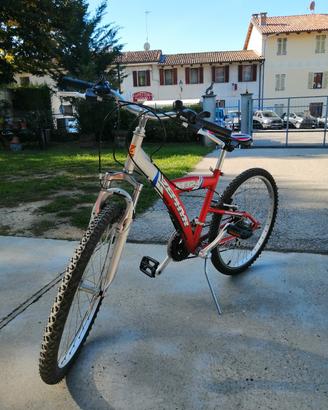 Bicicletta 