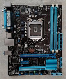 Scheda madre ASUS H61M-C