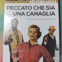 Peccato che sia una canaglia.Dvd 