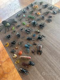 Insetti realistici da collezione