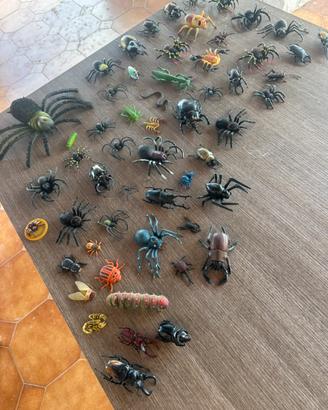 Insetti realistici da collezione