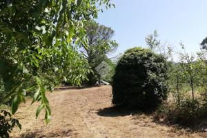 RUSTICO A OLEVANO ROMANO