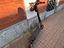 Immagine 3