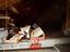 Immagine 27