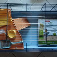 Gabbia coniglio, coniglietto, roditore