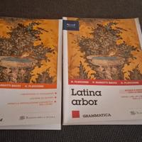 Latina arbor grammatica