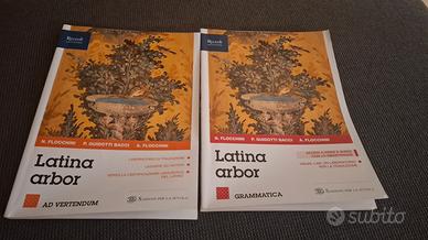 Latina arbor grammatica