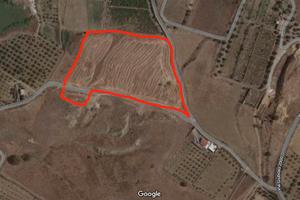 Terreno agricolo Motta Sant'Anastasia - Rif. 35M