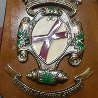 Emblema citta rovigno