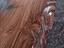 Immagine 29