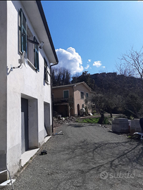 2 case indipendenti + 45000mq di terreno