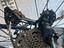 Immagine 5