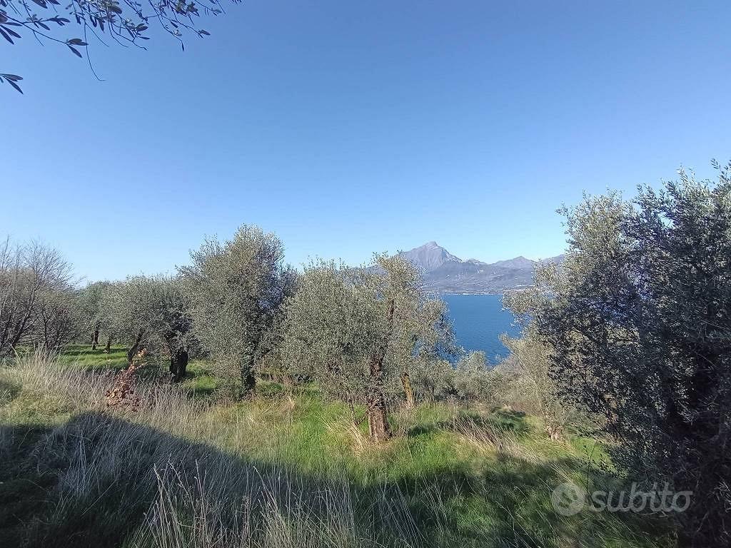 Terreno di 3627 m² a Torri del Benaco - Vista 5