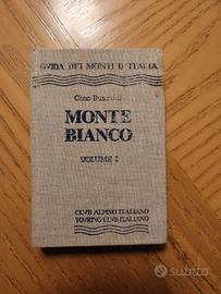 Buscaini - monte bianco I