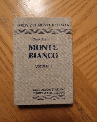 Buscaini - monte bianco I