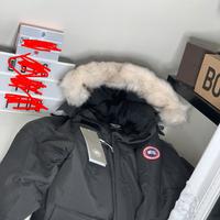 canada goose