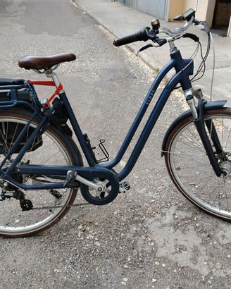 Bici elettrica 