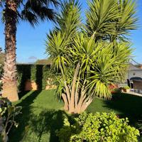 Villetta bifamiliare - Ragusa